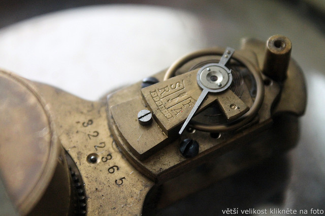 IMG-8468.jpg