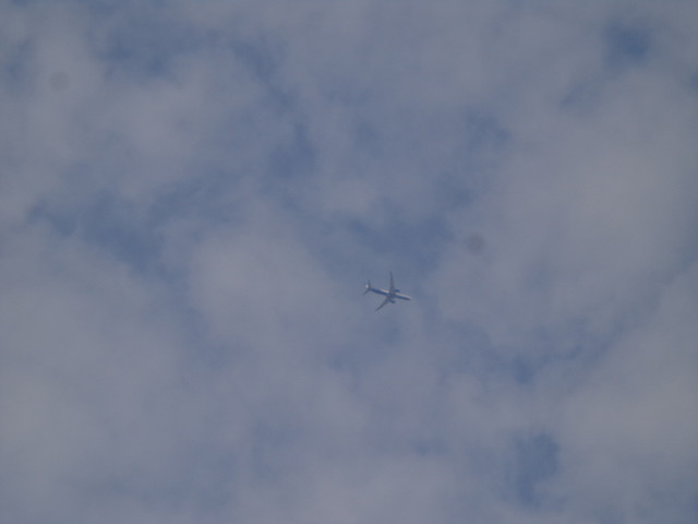 DSC00527-2.jpg