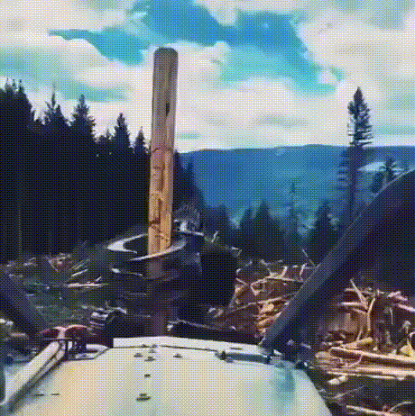 aom-WRZ49-700wv-0.gif