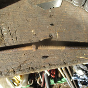 IMG-8704