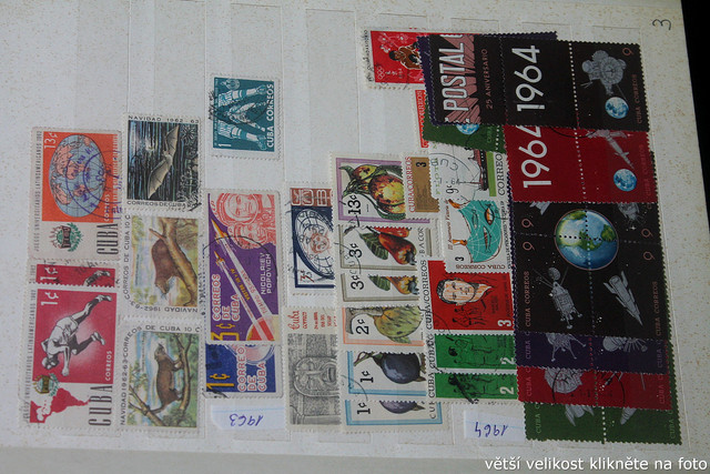 IMG-3492.jpg