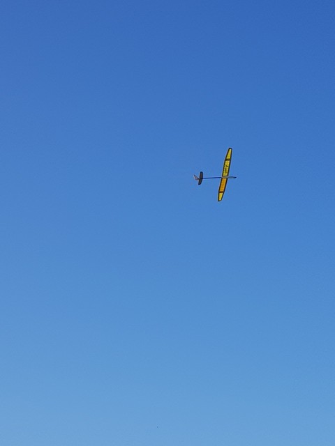 20230528-182003.jpg