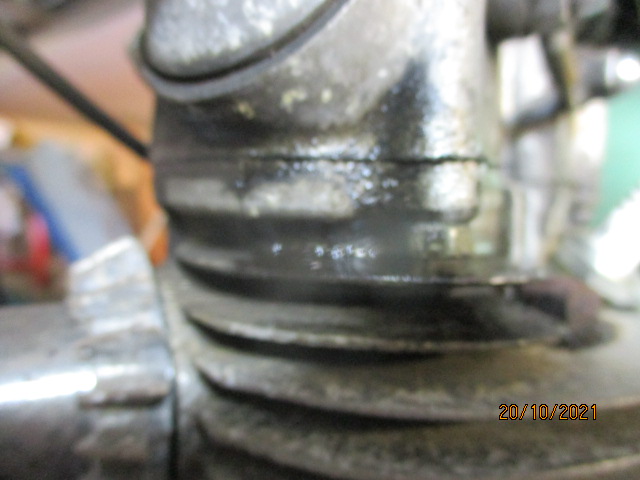 IMG-8818.jpg