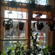 IMG-20220401-085822