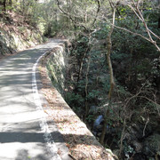 2011-02-26-133