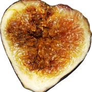 Nut-Cut