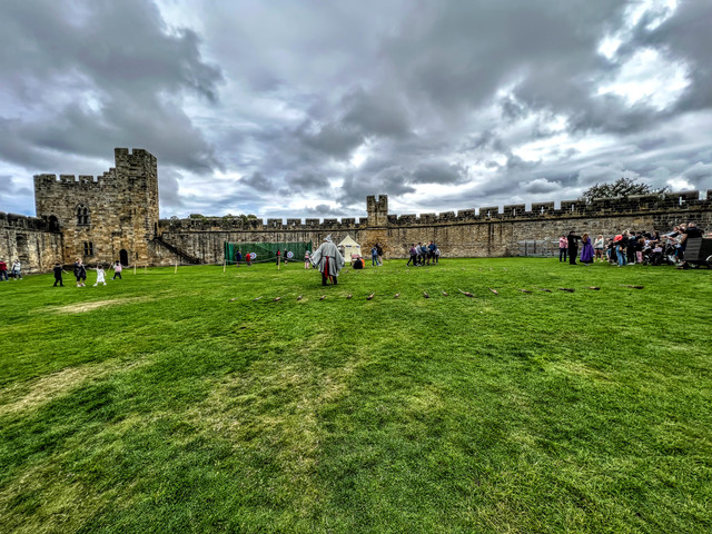 IMG-7379