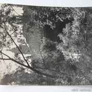IMG-6887