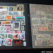 IMG-3114