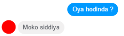 5.png