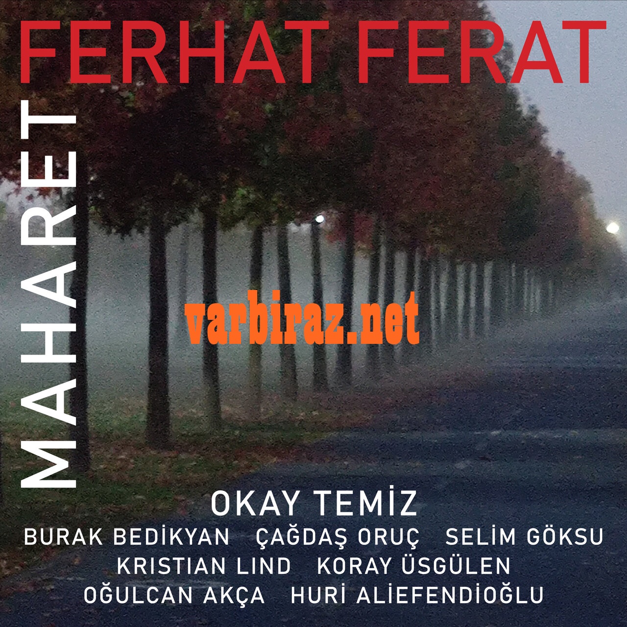 Resim