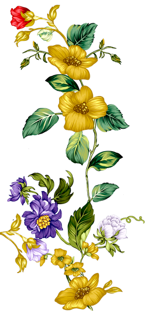 2c40e834bbdaef38d69d3b073666caa2.png