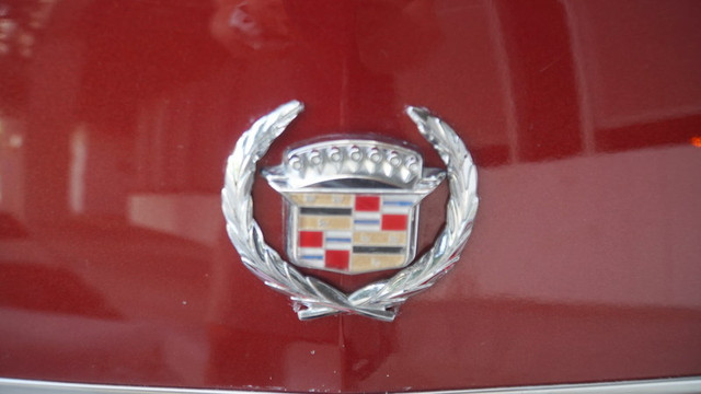 DSC02996.jpg
