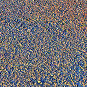 fondo-mar