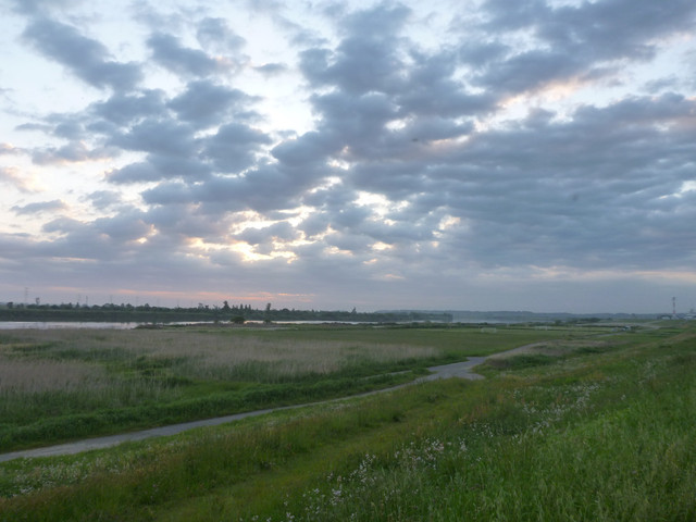2021-05-10-059.jpg