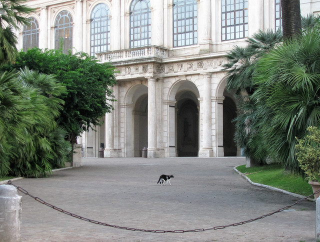 IMG-0401-2