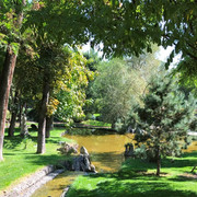 IMG-0781