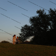 IMG 6230
