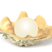pearl2