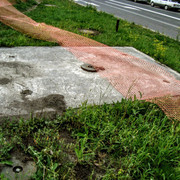 i-19