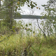 IMG 4648