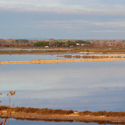 IMG-3388