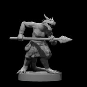 Kobold 3
