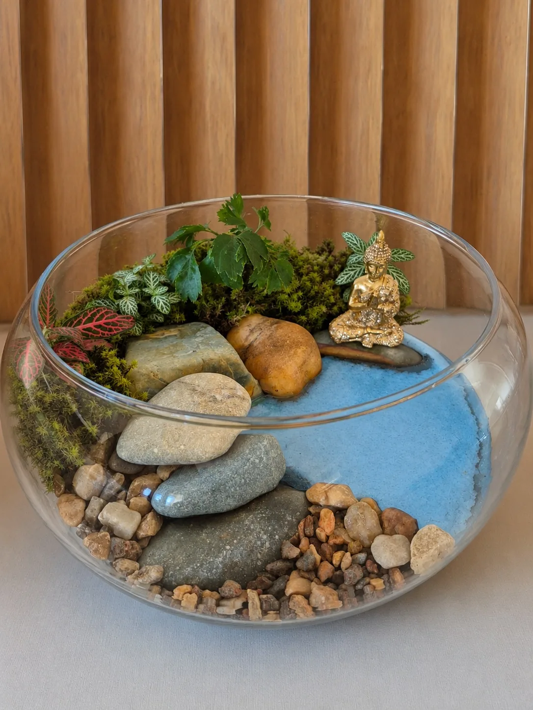 12cm x 21cm