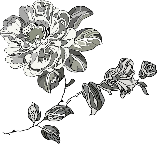 bd9c0cf6cfb3f9f8892fc6b636d0fea5.png