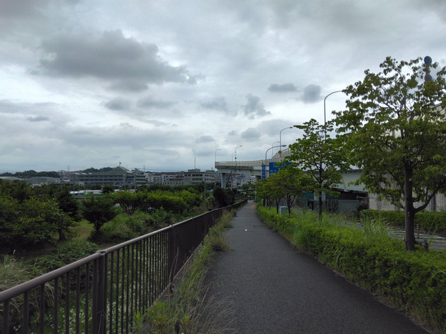 IMG-20230615-120610