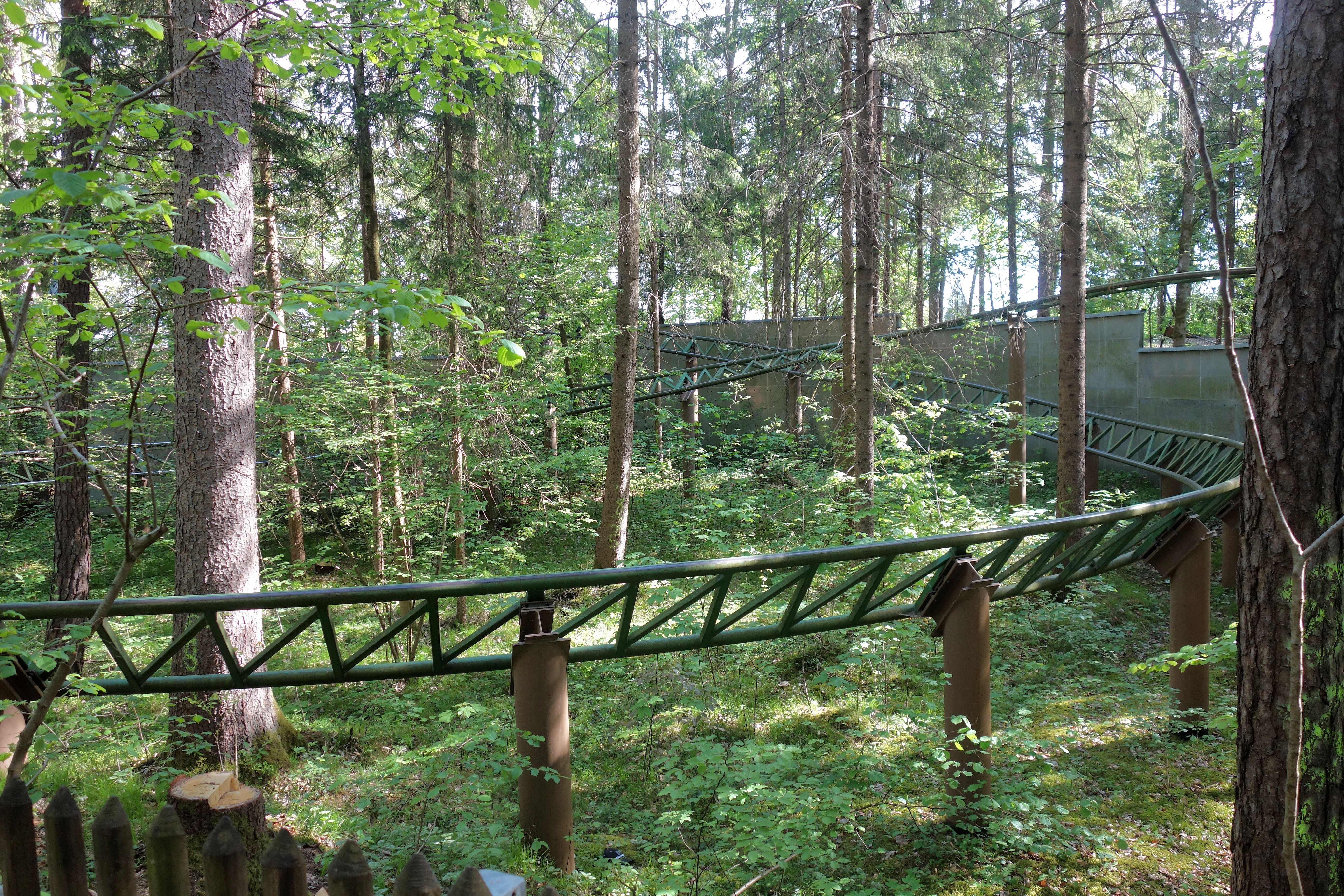 DSC07369