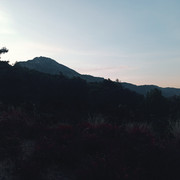 IMG 20260921 065325