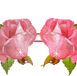 0-827dd-3bb5b158-L