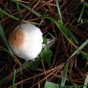 DSC00051