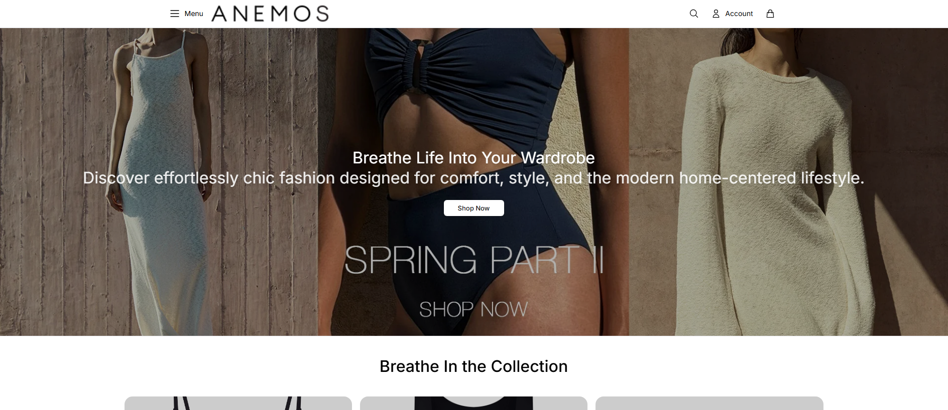Stored capture of anemoshq.shop