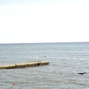 DSC-6791