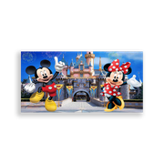 703677-Disney-Ana