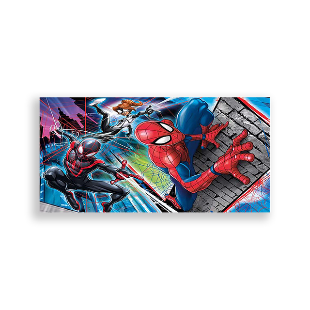 704211-Homem-Aranha-Ana