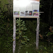 IMG 5658