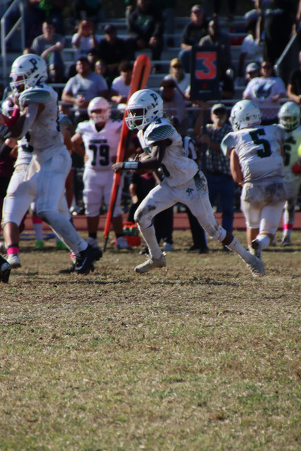 IMG-4893.jpg