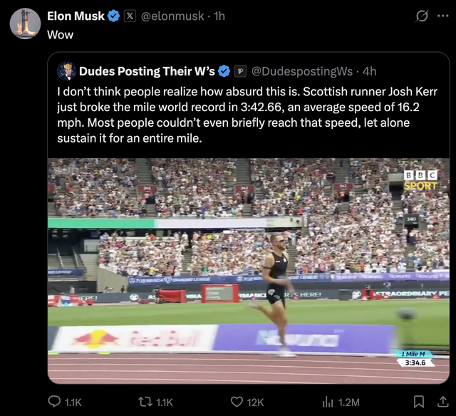 elon
