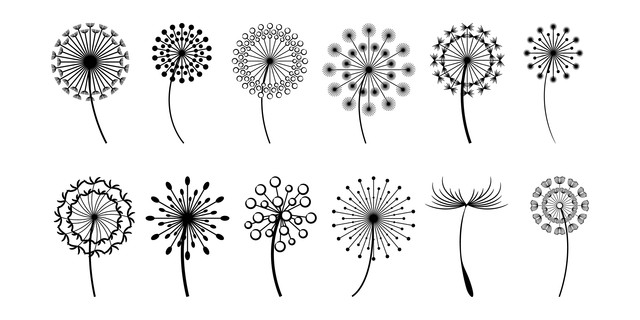 Dandelion.jpg
