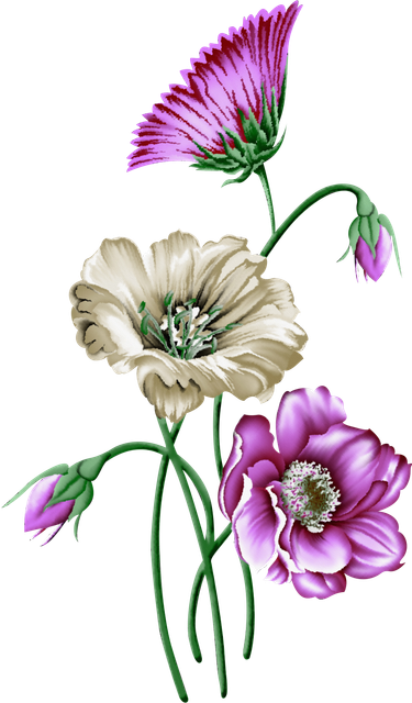 1b68de034cf04b9f78ed7d241a4fc6b2.png