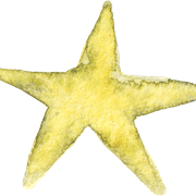 star04