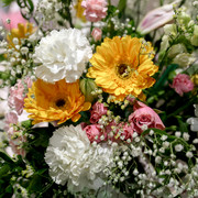 IMG-4103