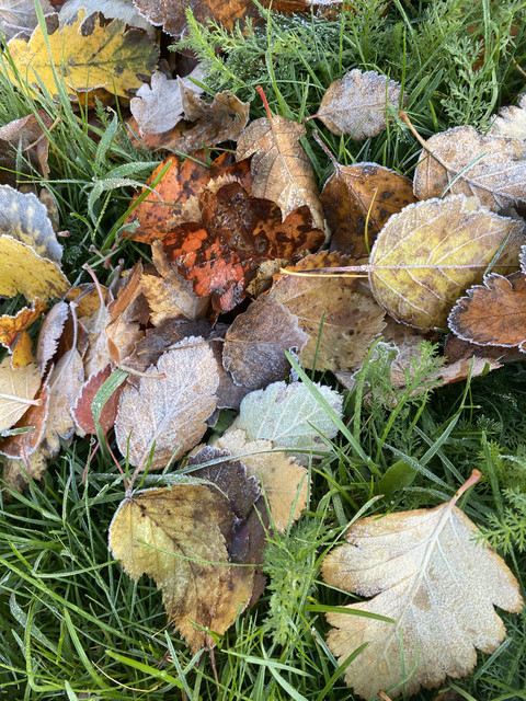 743-DEE6-B-58-A6-4-BC7-B18-F-24-D60-C664