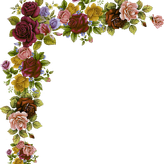 pngguru com 11