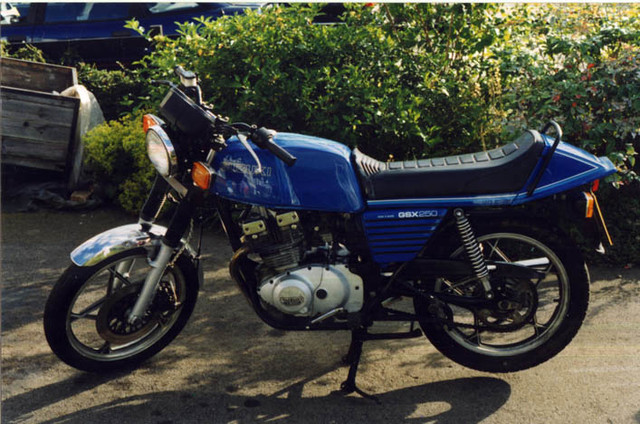 GSX250 l.jpg