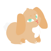 .png