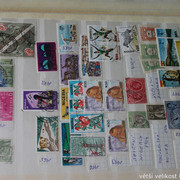 IMG-3733